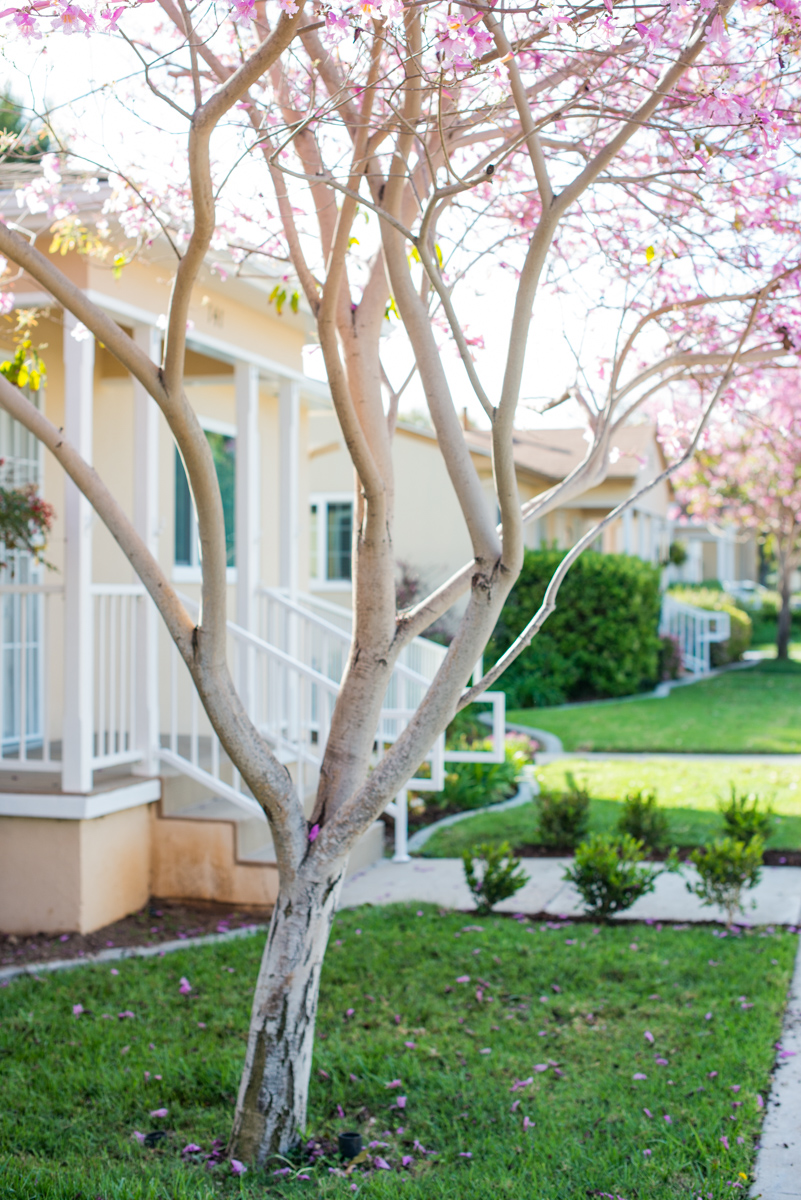 Fredericka Manor Seniors Lifestyle