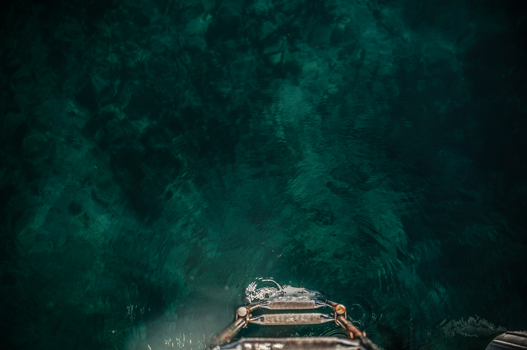 domesticlandscapes_100